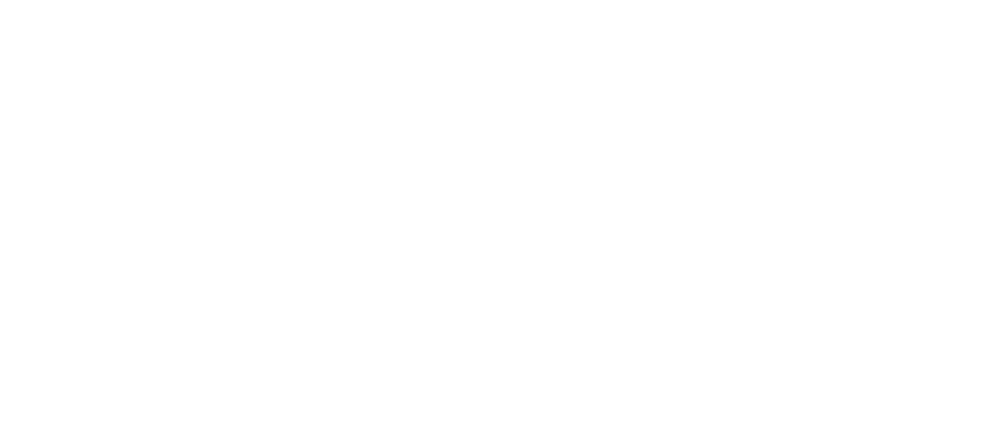 FairFinanz Logo white
