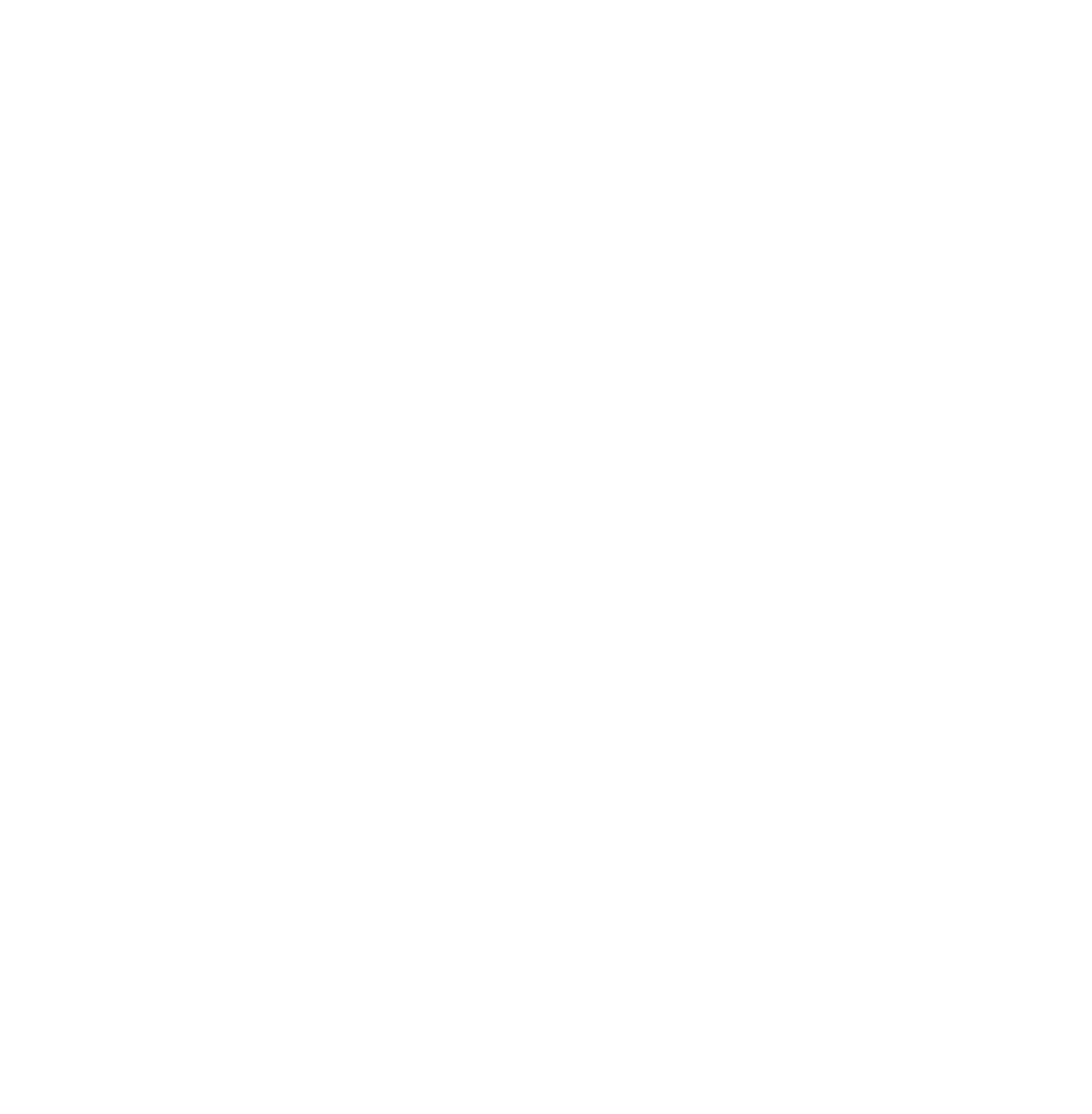 Fairfinanz Vision Fairfinanz Vision